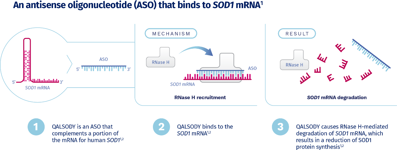 QALSODY mechanism of action graphic