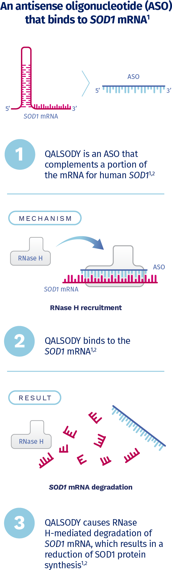 QALSODY mechanism of action graphic