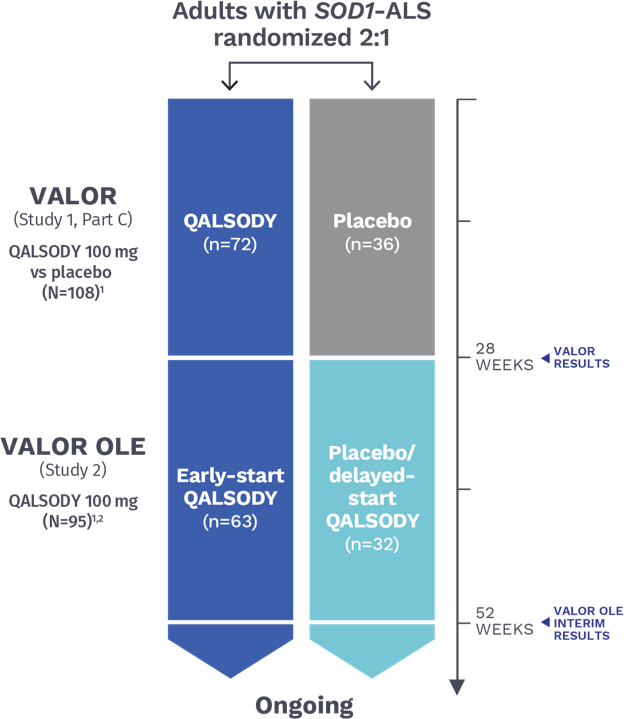 VALOR and VALOR OLE study design chart