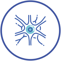 Neuron icon